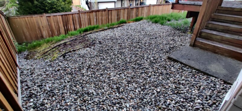 backyardClear2